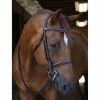 Black Oak By KL Select Poppy Hunter Bridle
