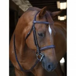 Black Oak By KL Select Poppy Hunter Bridle
