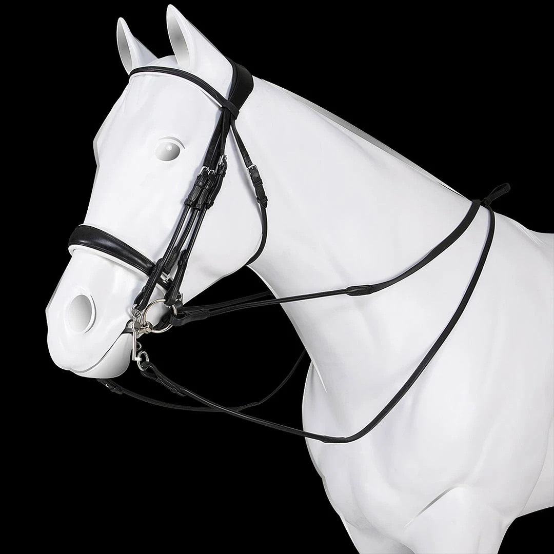 Cheapest 🎁 Frantisi Acavallo Gioconda Double Rein Bridle 🛒 3 Frantisi Acavallo Gioconda Double Rein Bridle