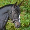 English Bridles Black Oak By KL Select Cyprus Hunter Bridle