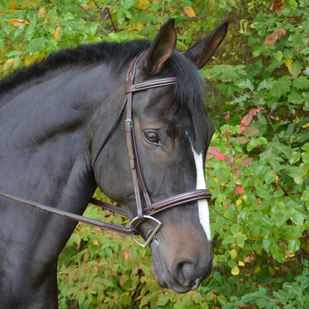 Best Pirce 🔥 English Bridles Black Oak By KL Select Cyprus Hunter Bridle 🔥 3 English Bridles Black Oak By KL Select Cyprus Hunter Bridle
