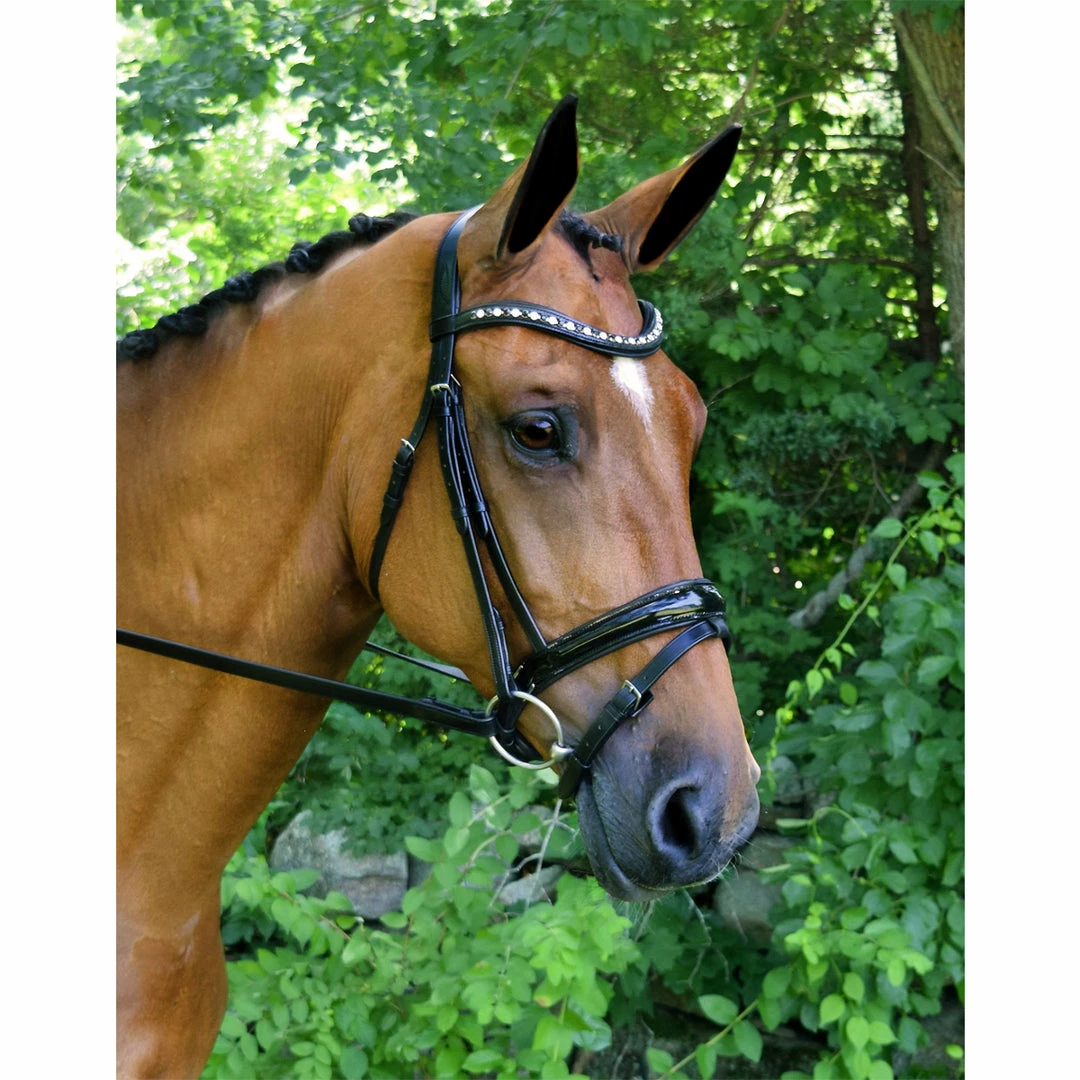 Hot Sale 👍 English Bridles Red Barn By KL Select Stride 👗 Dressage Bridle 🌟 3 English Bridles Red Barn By KL Select Stride Dressage Bridle
