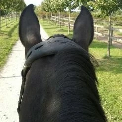 Promo ⭐ Frantisi Horse Bits Acavallo Gel Nose Or Poll Guard 🌟 19 Frantisi Horse Bits Acavallo Gel Nose Or Poll Guard