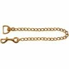 Intrepid Solid Brass Chain Halters & Leads