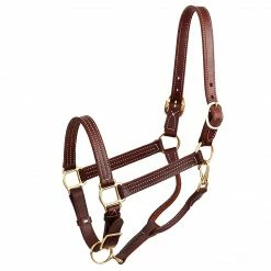 Cheapest ✨ Perri's Leather Perri's 1" Leather Show Halter ✨ 11 Perri's Leather Perri's 1