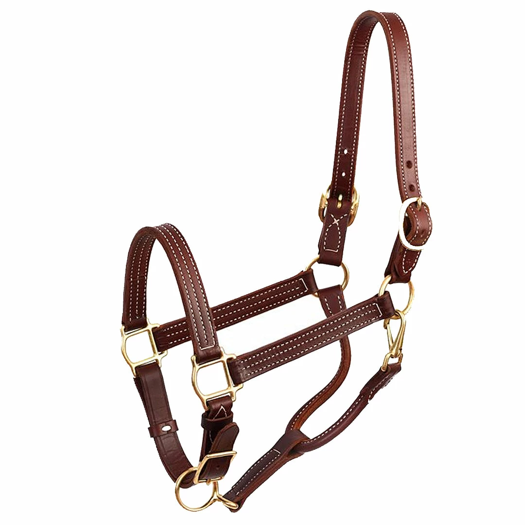 Cheapest ✨ Perri's Leather Perri's 1" Leather Show Halter ✨ 5 Perri's Leather Perri's 1" Leather Show Halter