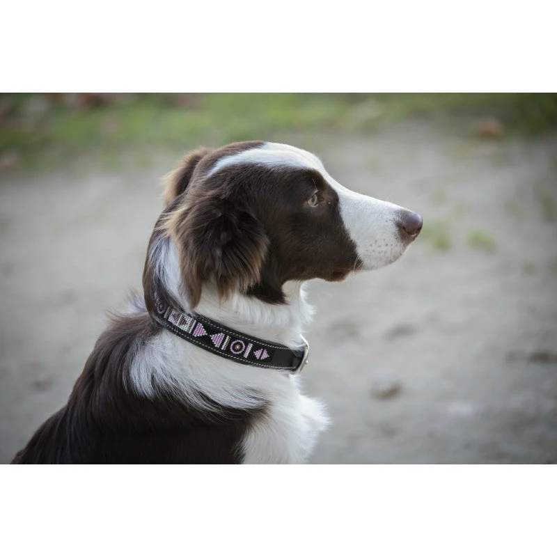 Promo ✔️ French Equestrian Penelope Pearl 🐶 Dog Collar ⭐ 4 French Equestrian Penelope Pearl Dog Collar