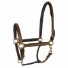 New 😉 JPC Equestrian Lettia Padded Leather Halter Halters & Leads 😀 1 JPC Equestrian Lettia Padded Leather Halter Halters & Leads