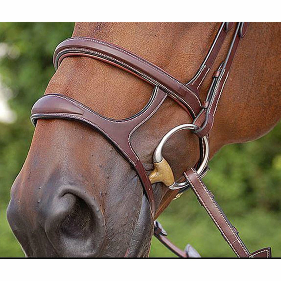 Best reviews of ✨ Sagmae English Bridles Dyon Double Noseband - D Collection 👏 3 Sagmae English Bridles Dyon Double Noseband - D Collection