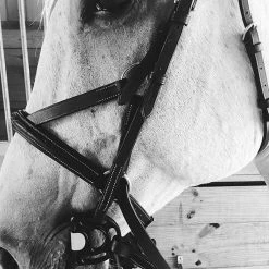 Wholesale ⌛ Frantisi Acavallo Sensitive Bit ✨ 25 Frantisi Acavallo Sensitive Bit