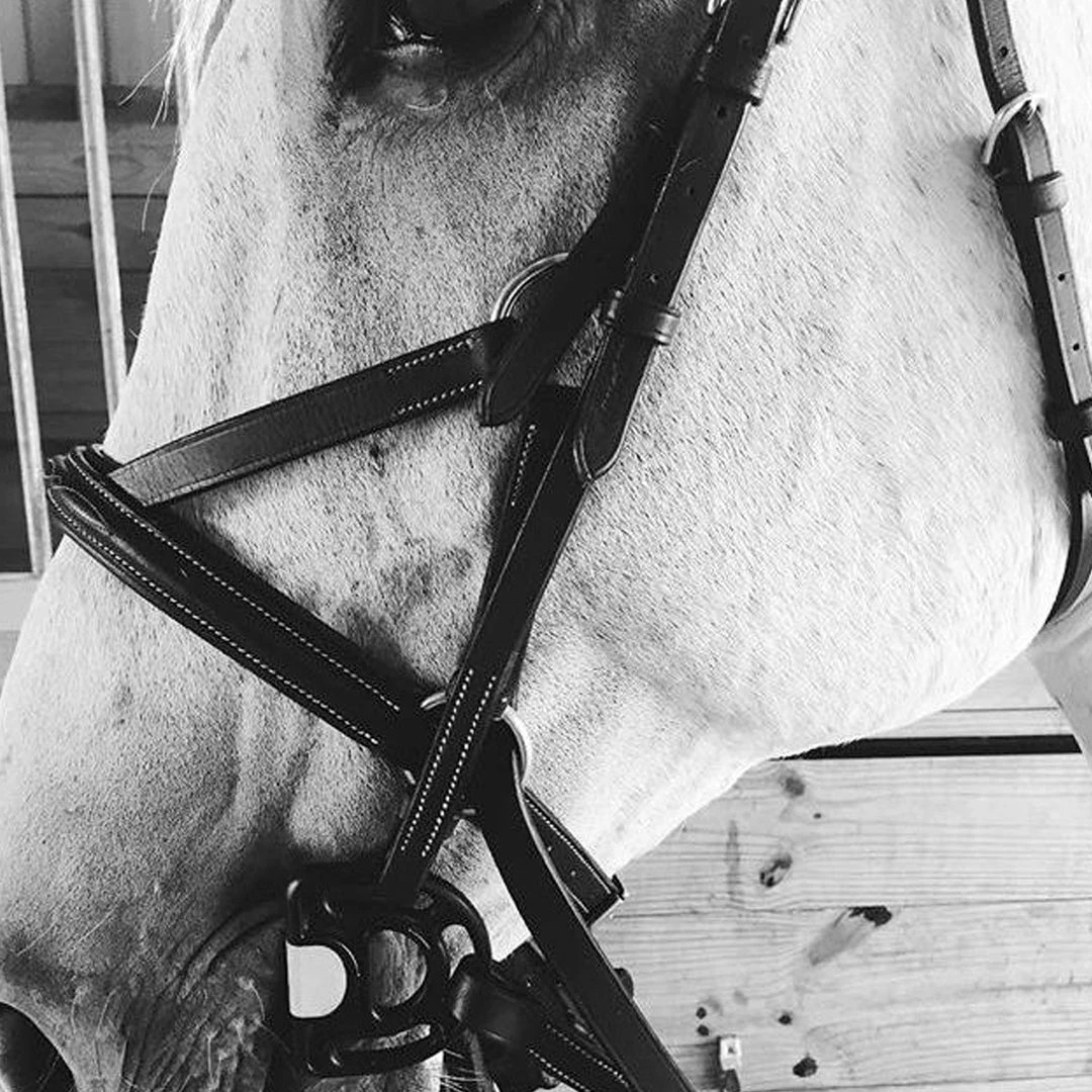 Wholesale ⌛ Frantisi Acavallo Sensitive Bit ✨ 13 Frantisi Acavallo Sensitive Bit