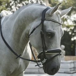 Wholesale ⌛ Frantisi Acavallo Sensitive Bit ✨ 27 Frantisi Acavallo Sensitive Bit