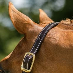 Walsh British Halter Halters & Leads