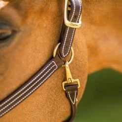 Walsh British Halter Halters & Leads