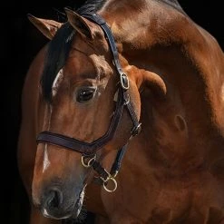 Halters & Leads Horseware Rambo Micklem Halter