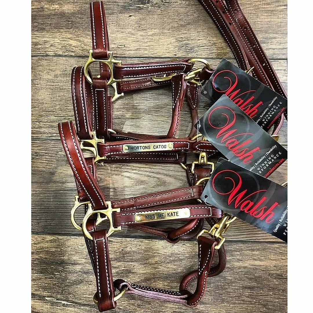 Hot Sale 😍 Walsh Showman Halter 🛒 3 Walsh Showman Halter