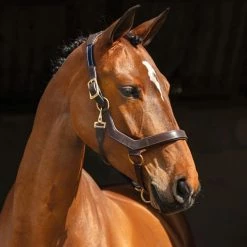 Coupon 😉 Halters & Leads Horseware Rambo Micklem Halter 🥰 9 Halters & Leads Horseware Rambo Micklem Halter