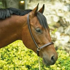 Perri's Leather Halters & Leads Perri's Grooming Halter