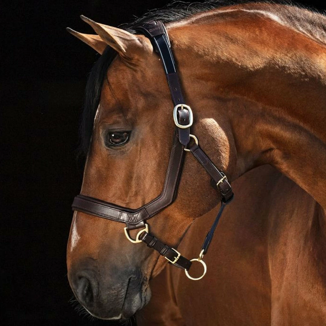 Coupon 😉 Halters & Leads Horseware Rambo Micklem Halter 🥰 3 Halters & Leads Horseware Rambo Micklem Halter
