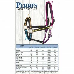 Perri's Leather Halters & Leads Perri's Grooming Halter