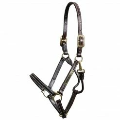 Walsh Showman Halter