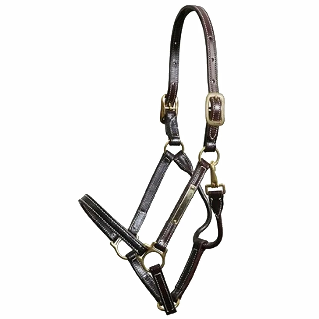 Hot Sale 😍 Walsh Showman Halter 🛒 4 Walsh Showman Halter