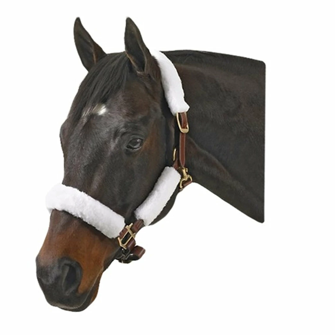 Deals 👏 Jacks Mfg Halter Kit Halters & Leads 🥰 3 Jacks Mfg Halter Kit Halters & Leads