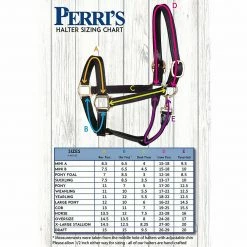 Perri's Leather Turnout Halter Halters & Leads