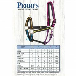 Perri's Leather Perri's Premium Nylon Safety Halter Halters & Leads