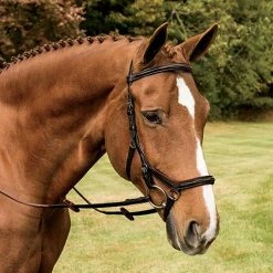 Buy ๐งจ Horseware English Bridles Rambo Micklem Deluxe Competition Bridle ๐ฅ 14 Horseware English Bridles Rambo Micklem Deluxe Competition Bridle