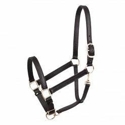 Perri's Leather Turnout Halter Halters & Leads