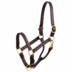 Cheapest ✨ Perri's Leather Perri's 1" Leather Show Halter ✨ 12 Perri's Leather Perri's 1