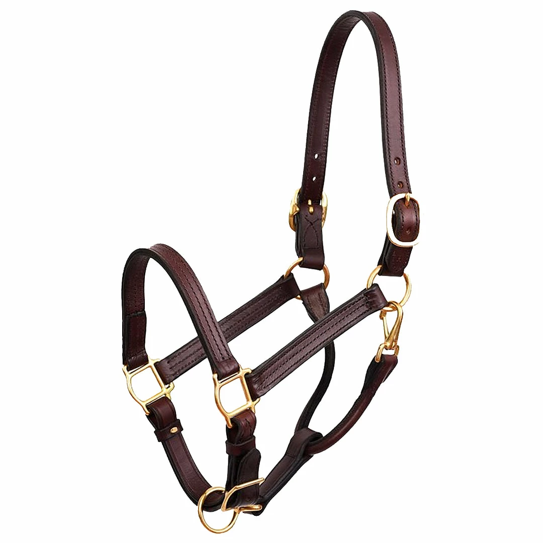 Cheapest ✨ Perri's Leather Perri's 1" Leather Show Halter ✨ 6 Perri's Leather Perri's 1" Leather Show Halter