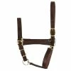 Perri's Leather Perri's Economy Leather Halter Halters & Leads