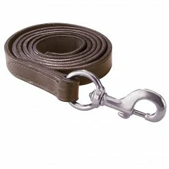 Halters & Leads Perri's Leather Lead With Snap