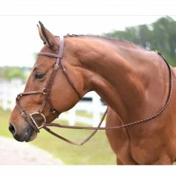 Coupon 🎁 Huntley Equestrian Huntley Fancy Stitch Figure 8 Bridle 🛒 27 Huntley Equestrian Huntley Fancy Stitch Figure 8 Bridle