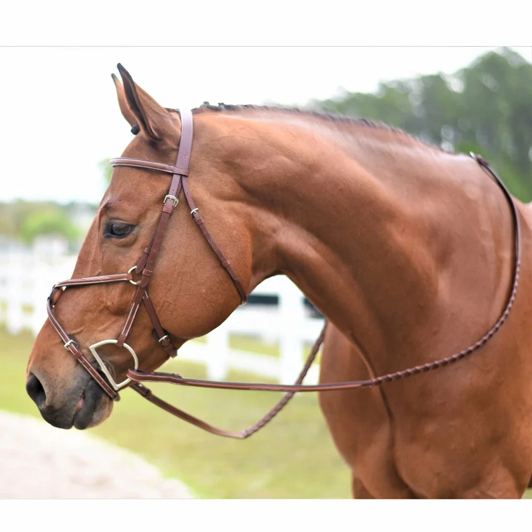 Coupon 🎁 Huntley Equestrian Huntley Fancy Stitch Figure 8 Bridle 🛒 15 Huntley Equestrian Huntley Fancy Stitch Figure 8 Bridle