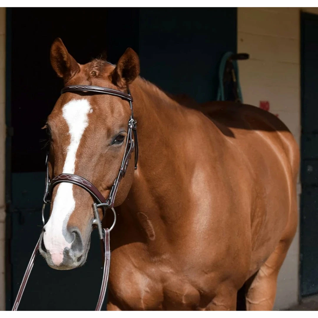 Budget ⌛ English Bridles Huntley Equestrian Sedgwick Leather Fancy Stitched Bridle 🧨 15 English Bridles Huntley Equestrian Sedgwick Leather Fancy Stitched Bridle