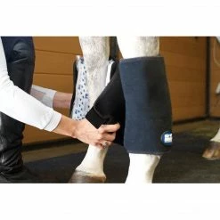 Budget 🤩 Therapeutic Horse 🥾 Boots & Wraps Ice Horse Tendon Wrap 😍 11 Therapeutic Horse Boots & Wraps Ice Horse Tendon Wrap