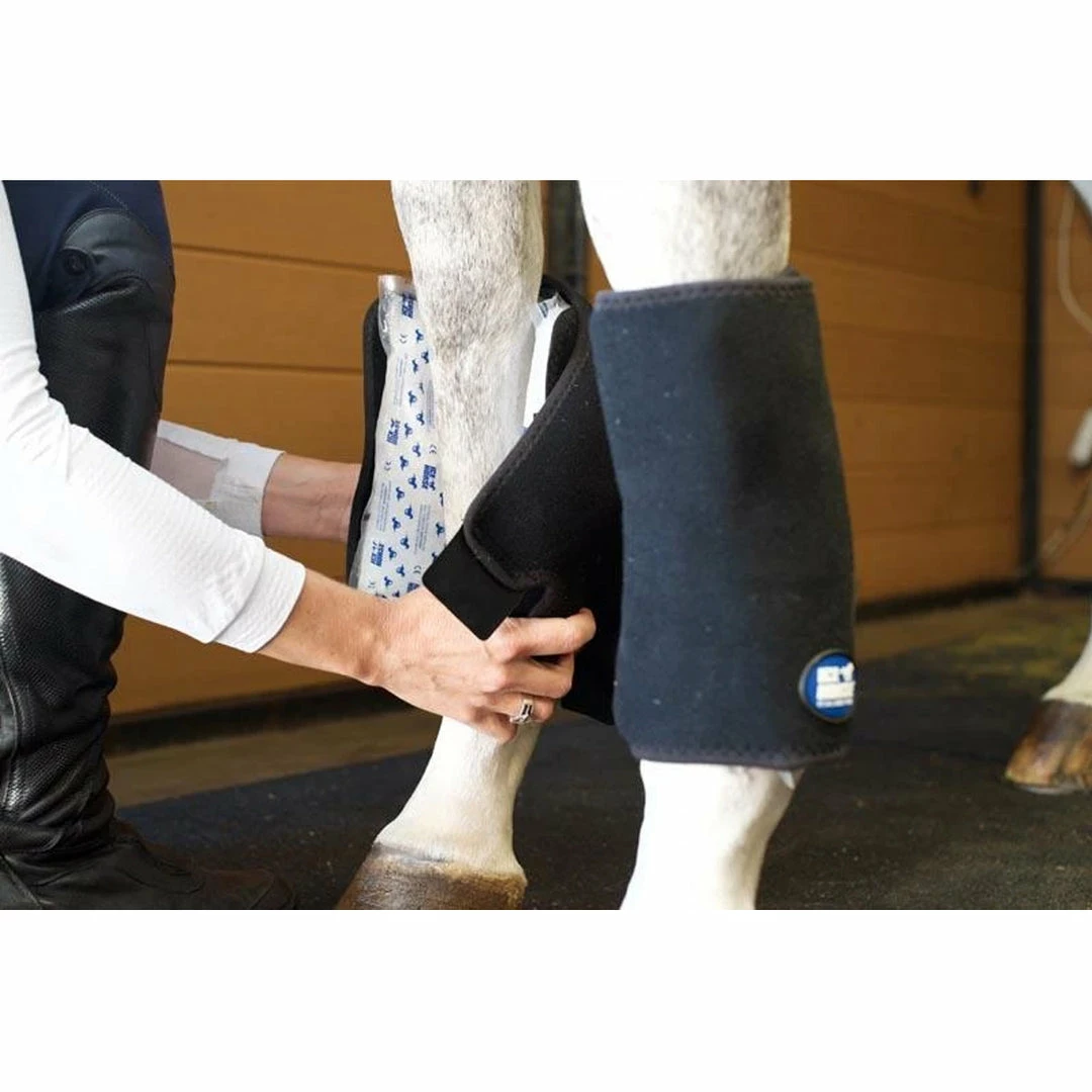 Budget 🤩 Therapeutic Horse 🥾 Boots & Wraps Ice Horse Tendon Wrap 😍 6 Therapeutic Horse Boots & Wraps Ice Horse Tendon Wrap