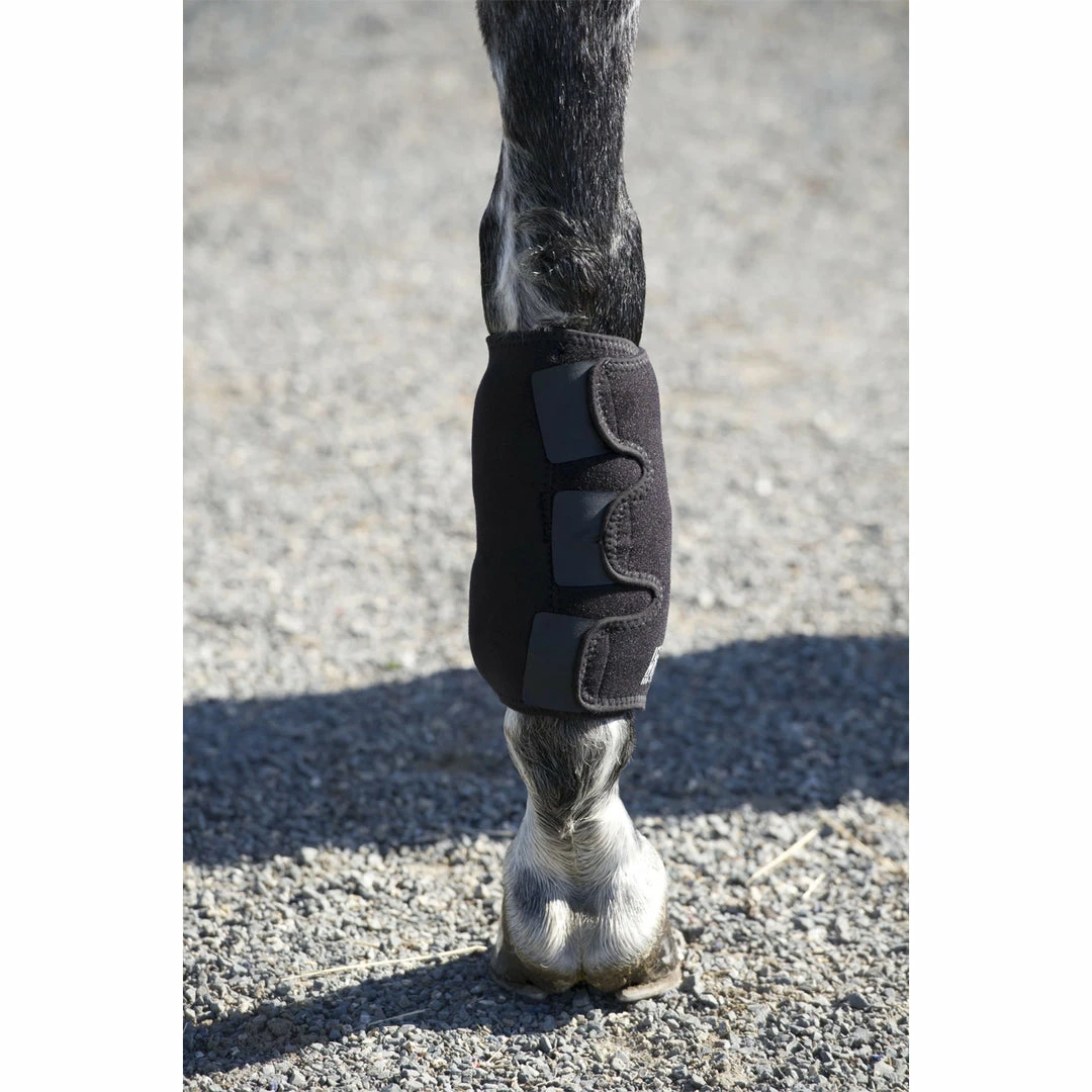 Budget 🤩 Therapeutic Horse 🥾 Boots & Wraps Ice Horse Tendon Wrap 😍 8 Therapeutic Horse Boots & Wraps Ice Horse Tendon Wrap