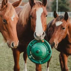 Hot Sale 🎉 KVP International, Inc. 12" Equine Kong Boredom Buster Classic Kit Stall Toy Grooming 👍 7 KVP International, Inc. 12