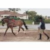 English Riding Supply Horse Training Equipment Pessoa Lunging System