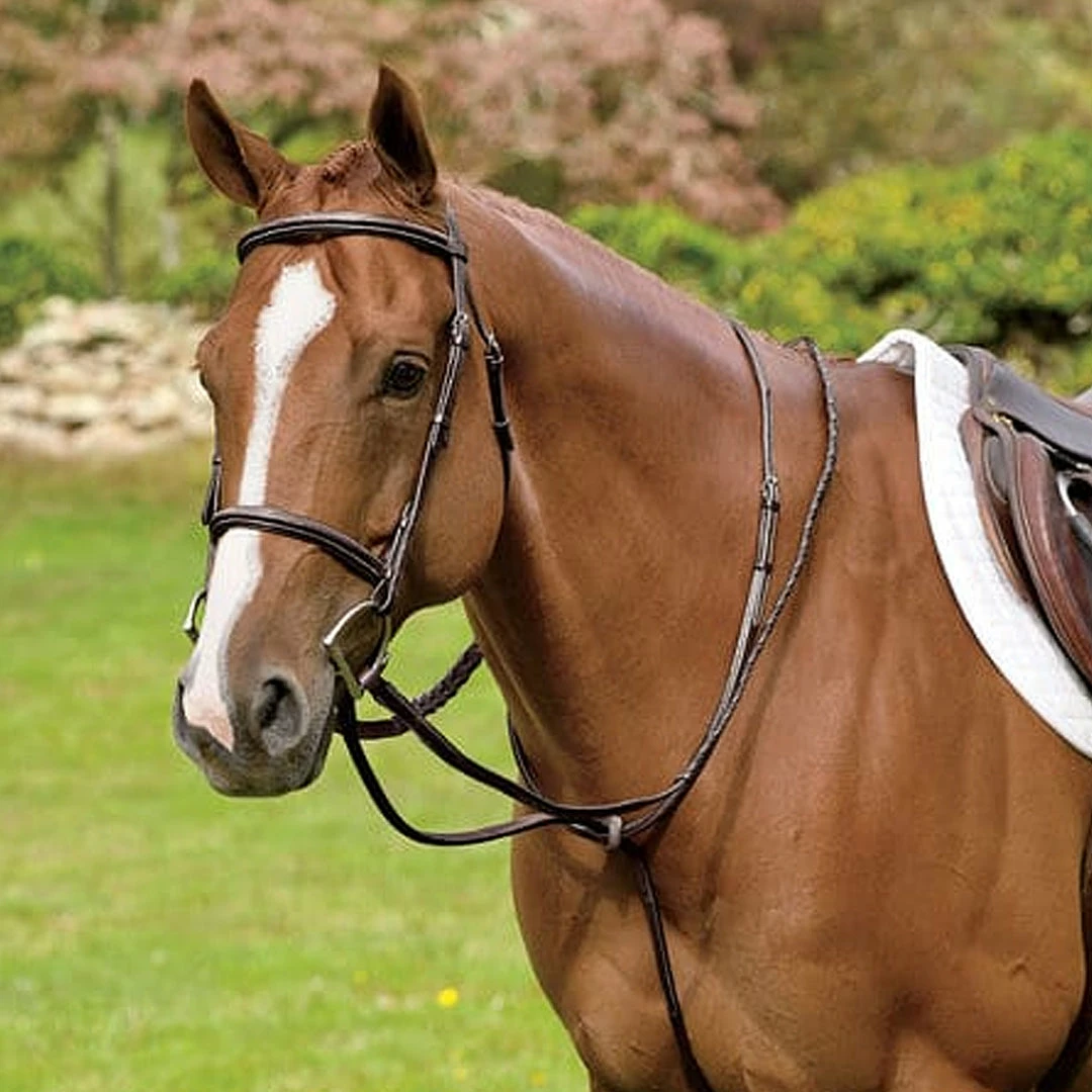 Top 10 🔥 English Riding Supply Martingales, Breastplates, Attachments Rodrigo Pessoa Raised Fancy Standing Martingale 😀 4 English Riding Supply Martingales, Breastplates, Attachments Rodrigo Pessoa Raised Fancy Standing Martingale