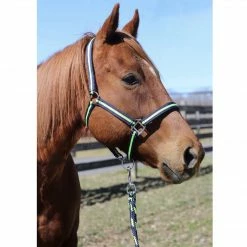 Wholesale 😀 JPC Equestrian Tuffrider Nylon Breakaway Halter And Lead 🔥 20 JPC Equestrian Tuffrider Nylon Breakaway Halter And Lead