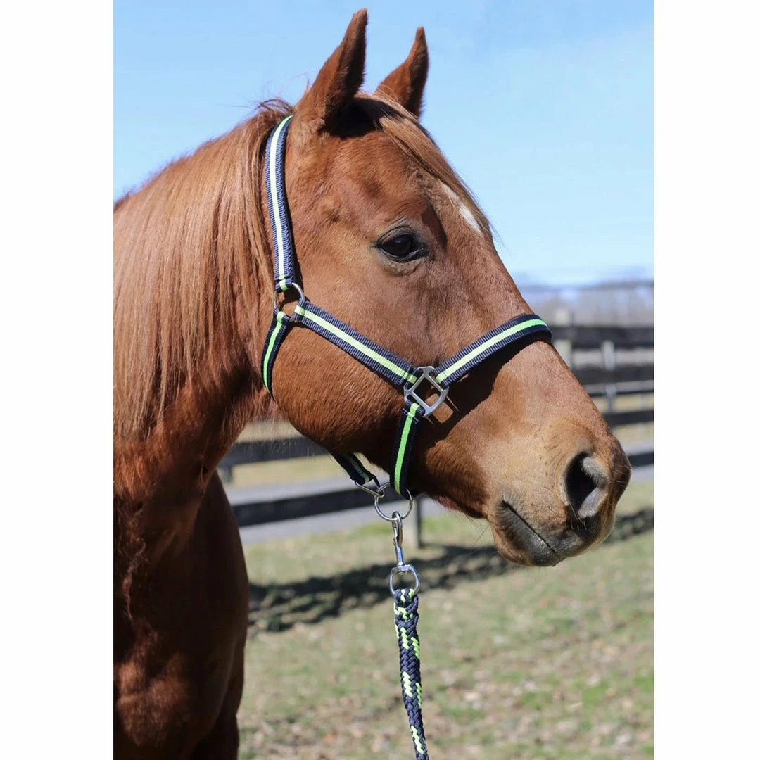 Wholesale 😀 JPC Equestrian Tuffrider Nylon Breakaway Halter And Lead 🔥 11 JPC Equestrian Tuffrider Nylon Breakaway Halter And Lead