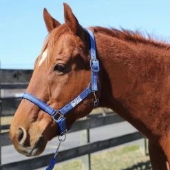 Wholesale 😀 JPC Equestrian Tuffrider Nylon Breakaway Halter And Lead 🔥 21 JPC Equestrian Tuffrider Nylon Breakaway Halter And Lead