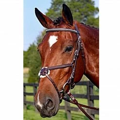 Best deal 😉 English Bridles Nunn Finer Figure Eight Bridle 🎉 13 English Bridles Nunn Finer Figure Eight Bridle