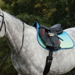 Brand new 🧨 Saddle Pads & Fittings Weatherbeeta Prime All Purpose Ombre Saddle Pad ❤️ 30 Saddle Pads & Fittings Weatherbeeta Prime All Purpose Ombre Saddle Pad