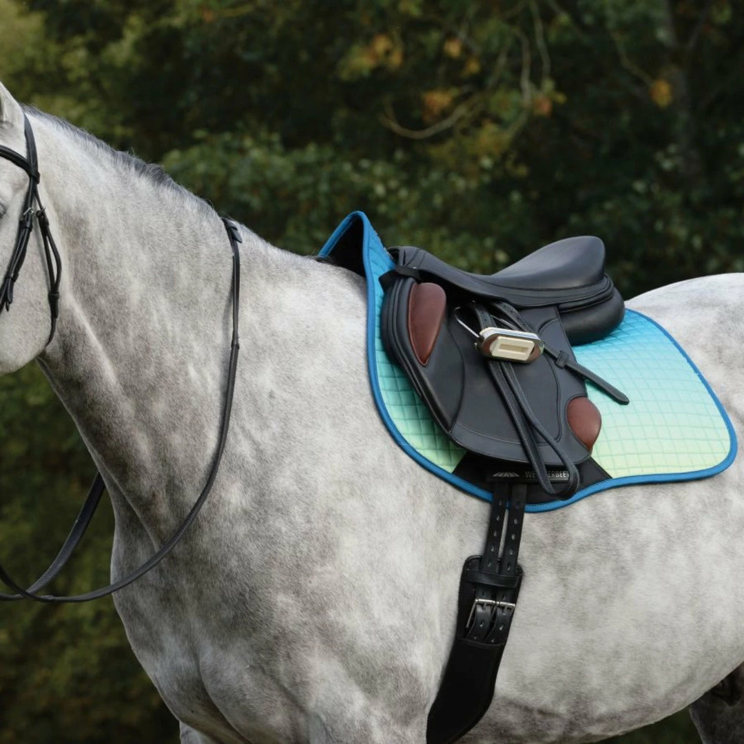 Brand new 🧨 Saddle Pads & Fittings Weatherbeeta Prime All Purpose Ombre Saddle Pad ❤️ 16 Saddle Pads & Fittings Weatherbeeta Prime All Purpose Ombre Saddle Pad